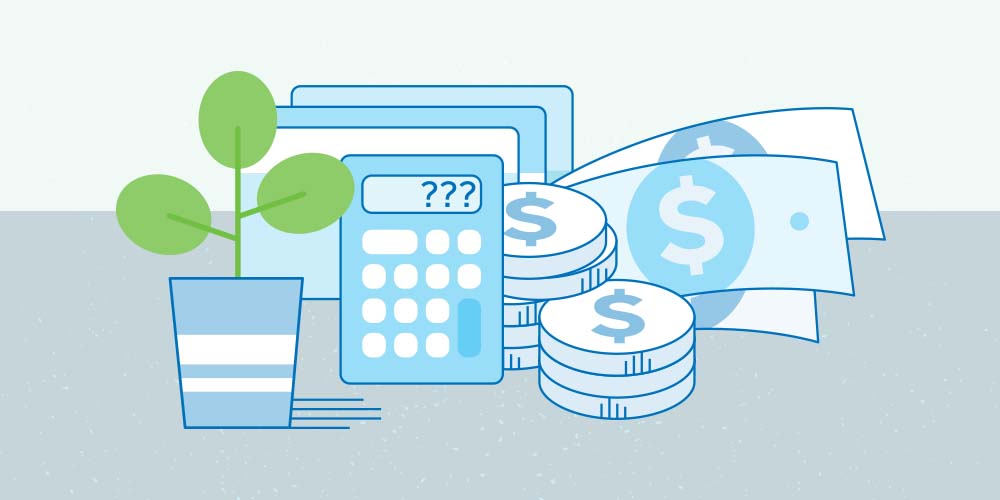 An illustration for financial literacy. A house plant, a calculator, some debit cards or credit cards, and some money.