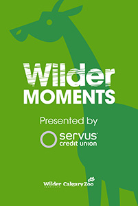 Wilder Institute and Calgary Zoo logo in Servus green